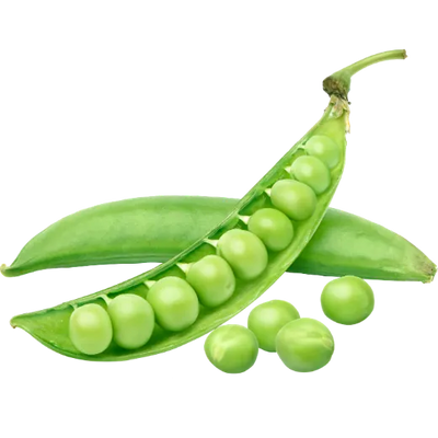 Proteína de arveja